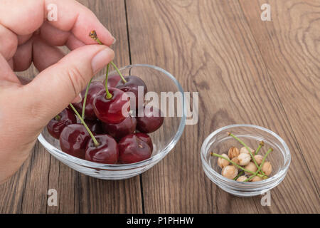 Detail of a hand holding a sweet cherry. Prunus avium. Eating of fresh juicy red cherries from glass. Pile of stones and stems in a small bowl. Stock Photo