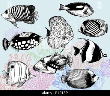 Set of hand drawn sketch style tropical fish and corals. Isolated vector illustration. Stock Vector