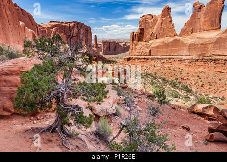 Park Avenue in Arches National Park, Moab, Utah Stock Photo