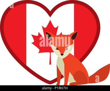 wild canadian fox with heart flag vector illustration design Stock Vector