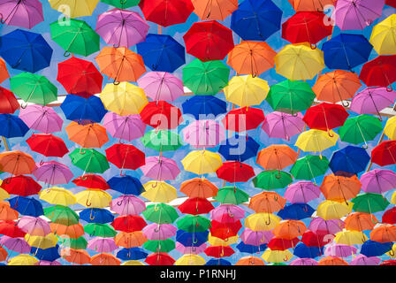 Colourful umbrellas in the street
