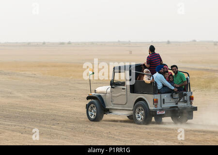 A family rides in the back of a recreational vehicle exploring the Sam sand dunes; Damodara, Rajasthan, India