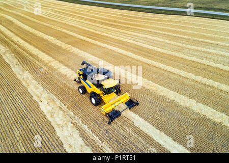 Aerial view of a combine collecting lines of cut grain; Beiseker, Alberta, Canada Stock Photo