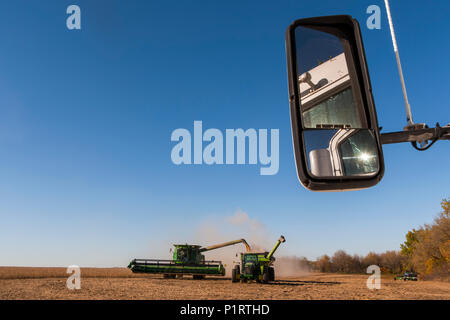 Combine offloading soybeans into a grain wagon during harvest, near Nerstrand; Minnesota, United States of America Stock Photo