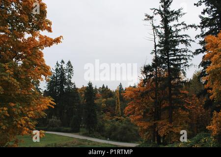 Fall Scene taken in Maple Ridge, processed with VSCO with hb2 preset Stock Photo