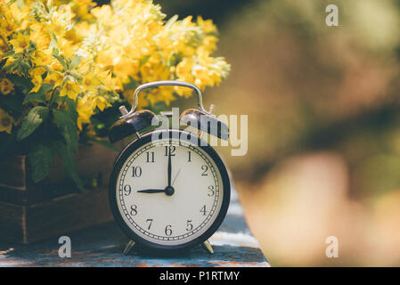 Retro 9 o'clock. Flowers in old wooden box. Day Light Garden Background with space for text Stock Photo