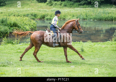 horse rider galloping by a lake Stock Photo