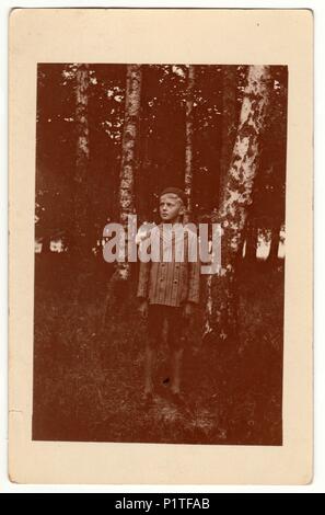THE CZECHOSLOVAK REPUBLIC - CIRCA 1930s: Vintage photo shows boy stands in the forest. Silver birches are one the background. Retro black & white photography. Stock Photo