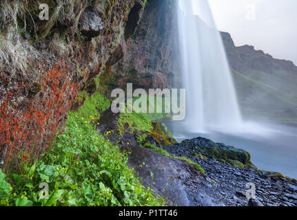 Trail running through cave behind Seljalandsfoss plunge waterfall, South Region, Iceland Stock Photo