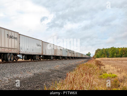 railroad freight cars with Triple Crown on the side of the cars.  Northwest Ohio