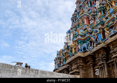 Monkeys and painted statues on one of the gopura (towers) of Kallalagar Temple, Madurai District, Tamil Nadu, India. Stock Photo