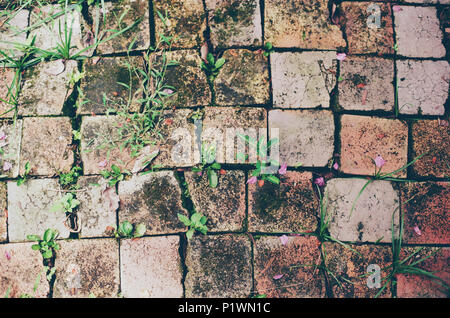 Old tile pattern Stock Photo