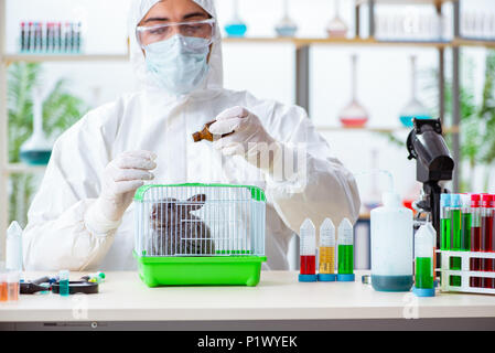 Scientist doing testing on animals rabbit Stock Photo