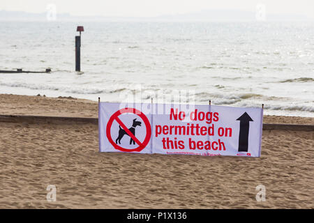 No dogs permitted on this beach banner at Bournemouth, Dorset, England UK in June Stock Photo