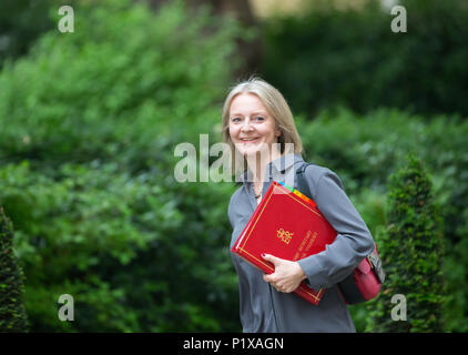 Liz Truss, Chief Secretary to the Treasury, arrives at Downing Street for a cabinet meeting Stock Photo