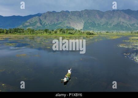 Man riding a shikara boat on the Dal lake in Srinagar, Kashmir, India. Stock Photo