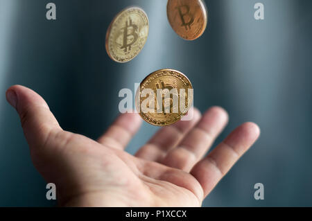 golden coins bitcoin falling into the hands Stock Photo