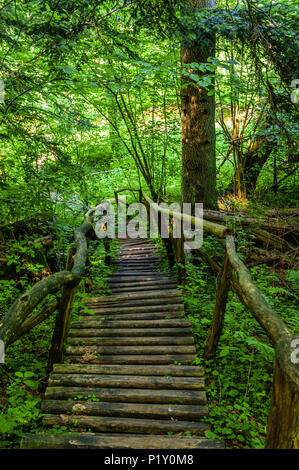 Wooden stairs leading down Stock Photo