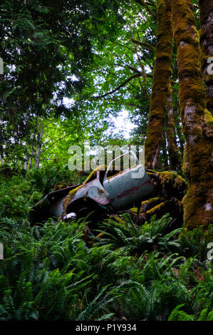 Old truck rusting in forest Stock Photo