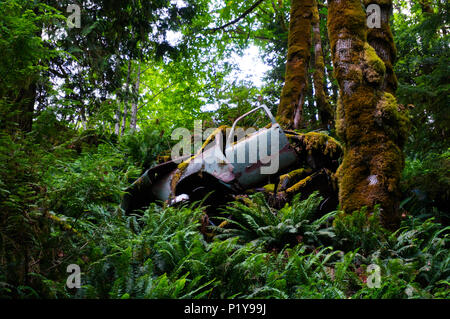 old destroyed truck decomposing in the forest Stock Photo