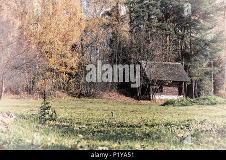 Old wooden vintage rural shed, country yard on the fringe of the forest of the picturesque forest in autumn. Solitary life, seasons Stock Photo