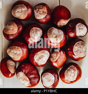 Ripe chestnuts on old wooden table and sack napkin close up with copy space. Stock Photo