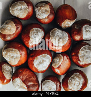 Ripe chestnuts on old wooden table and sack napkin close up with copy space. Stock Photo
