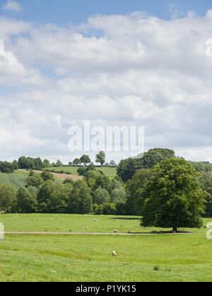 Rural countryside, North Newington, Oxfordshire, England, UK, Europe Stock Photo