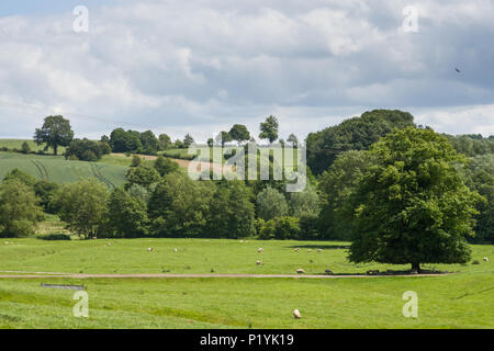 Rural countryside, North Newington, Oxfordshire, England, UK, Europe Stock Photo