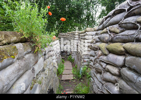 Yorkshire trench, Ypes, Belgium Stock Photo