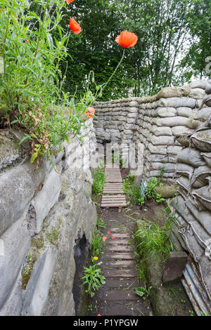 Yorkshire trench, Ypes, Belgium Stock Photo