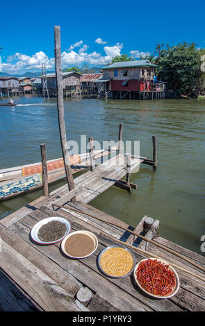 Myanmar, Shan region, lake Inle, plates of seeds on the pontoon of an house, chilli peppers, corn, sesame, green tea Stock Photo