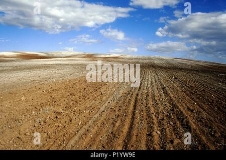Huete, rural landscape / fields (La Alcarria region). Stock Photo