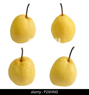 Fresh Fruits, Illustration of Delicious Sweet Nashi Pears, Asian Pears or Pyrus Pyrifolia Isolated on White Background. Stock Photo