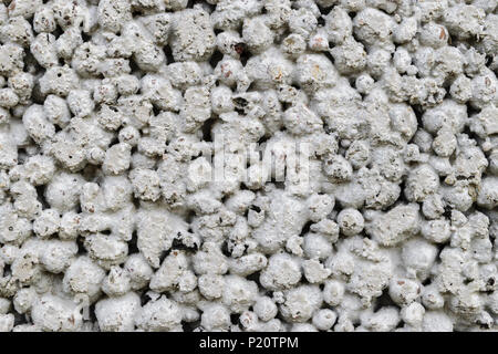 Background surface of grey masonry block made from granules Stock Photo
