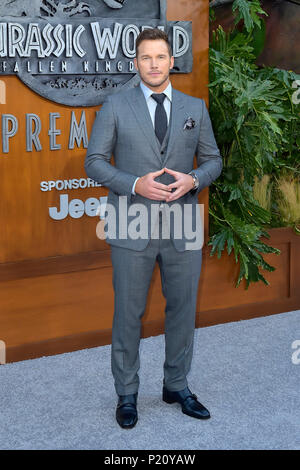 Chris Pratt attending the 'Jurassic World: Fallen Kingdom' premiere at the Walt Disney Concert Hall on June 12, 2018 in Los Angeles, California. Stock Photo