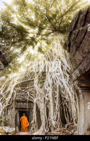 Giant tree roots and monk in temple Ta Prom Angkor wat Stock Photo