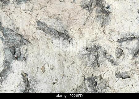 Background Pattern, Natural Brown Rough Stone Background or Texture with Copy Space for Text Decorated. Stock Photo