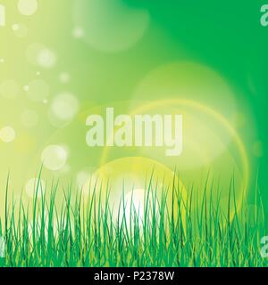 spring summer background with flowers and meadows hills Stock Vector