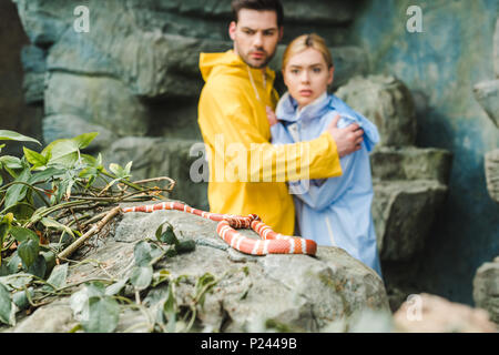 scared young couple in raincoats terrified of snake on rock Stock Photo