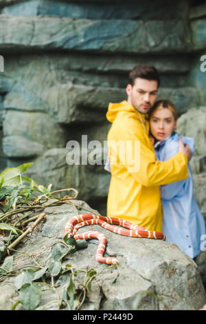 young couple in raincoats terrified of snake lying on rock Stock Photo