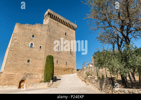 Châteauneuf-du-Pape, Provence-Alpes-Côte d'Azur, view of Châteauneuf-du-Pape Castle in the Rhone Valley. Stock Photo