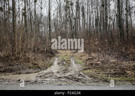 Forest way in winter, driveway, barrier, puddle, mud, Stock Photo