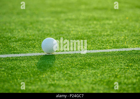 White ball for playing field hockey on the grass background Stock Photo