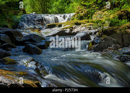 One of the many cascades and waterfalls along Sweet Creek in Oregon's Suislaw National Forest. Stock Photo