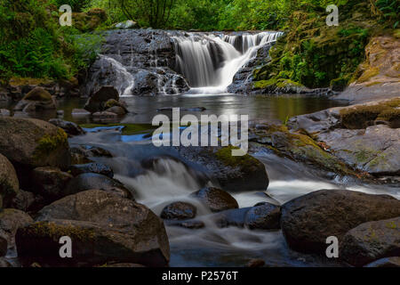 One of the many cascades and waterfalls along Sweet Creek in Oregon's Suislaw National Forest. Stock Photo