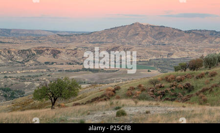 An olive tree with Pisticci in the background and its typical landscape, Craco Vecchia at sunset, Matera, Basilicata, Italy, Europe Stock Photo