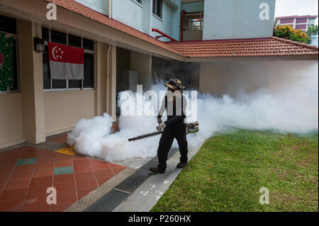 Singapore, Singapore, pestilent fighting on the grounds of an apartment building block Stock Photo
