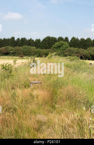 Air vents above a disused air raid shelter near Stanton Ironworks, Derbyshire, UK Stock Photo