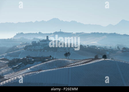 The vineyards of the Langhe with the castle of Castiglione Falletto in winter. Italy, Piedmont, Langhe, Cuneo district, Castiglione Falletto Stock Photo